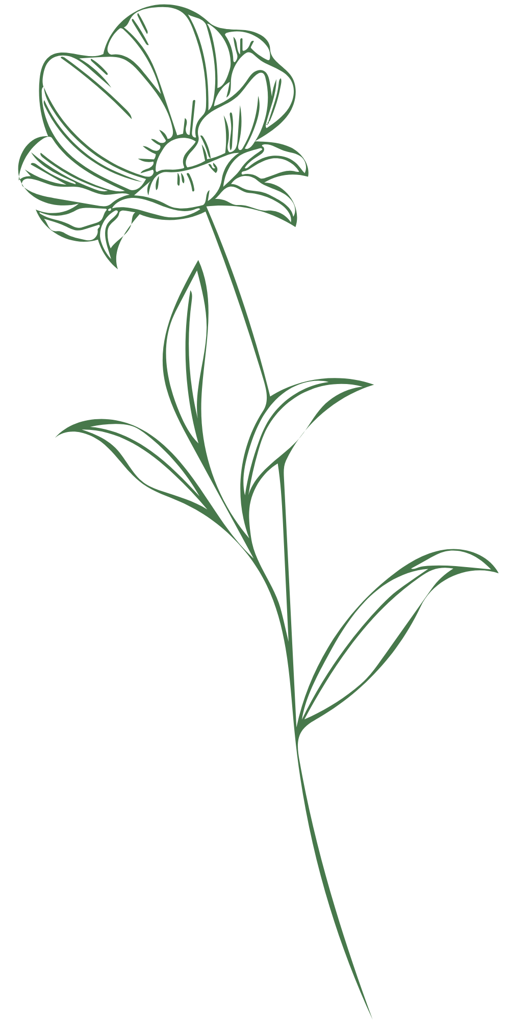 Flower right