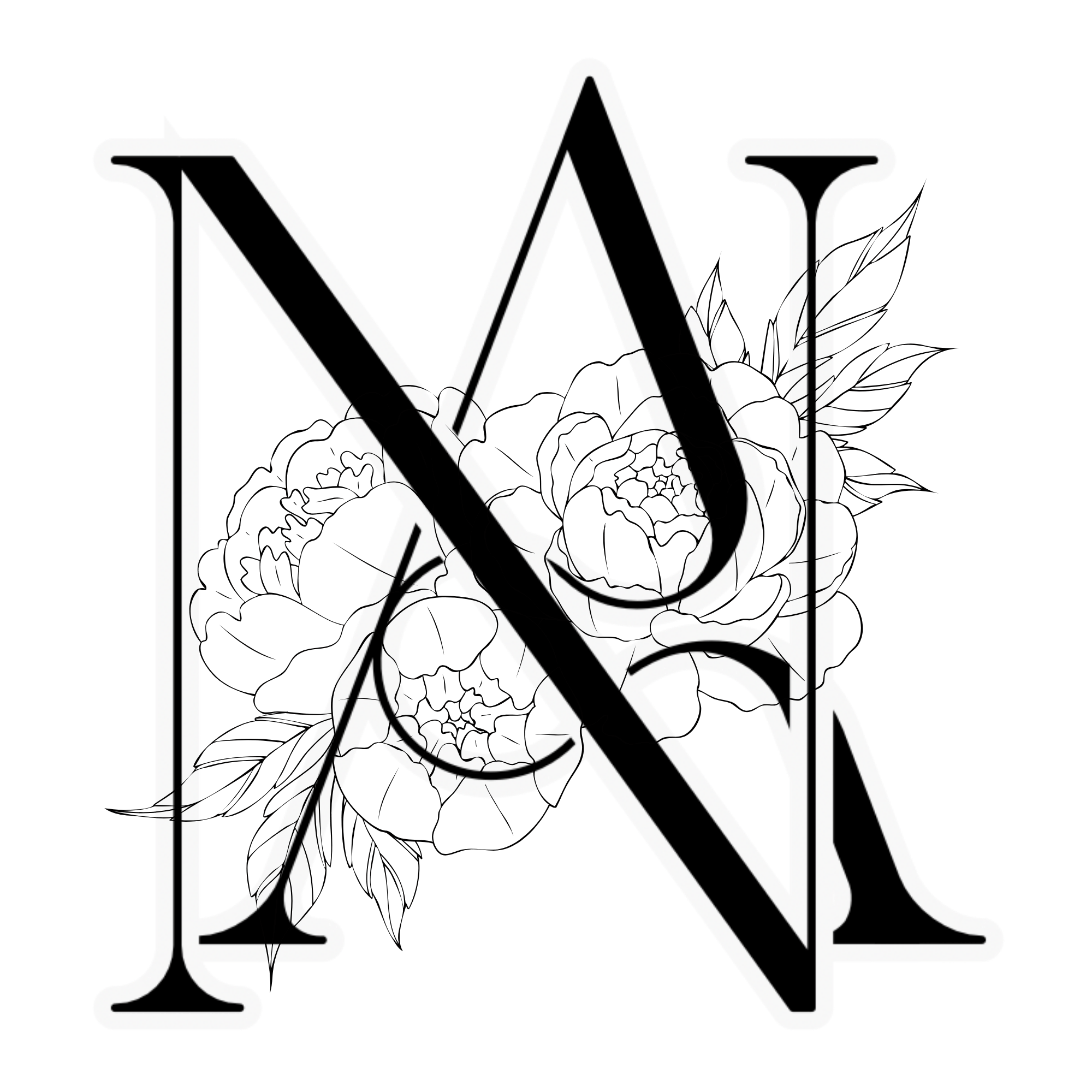 NA Logo